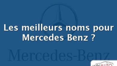 Les meilleurs noms pour Mercedes Benz ?