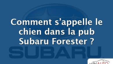 Comment s’appelle le chien dans la pub Subaru Forester ?