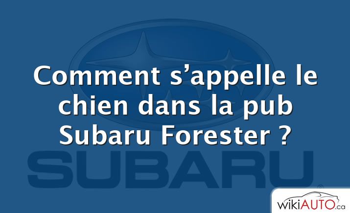 Comment s’appelle le chien dans la pub Subaru Forester ?