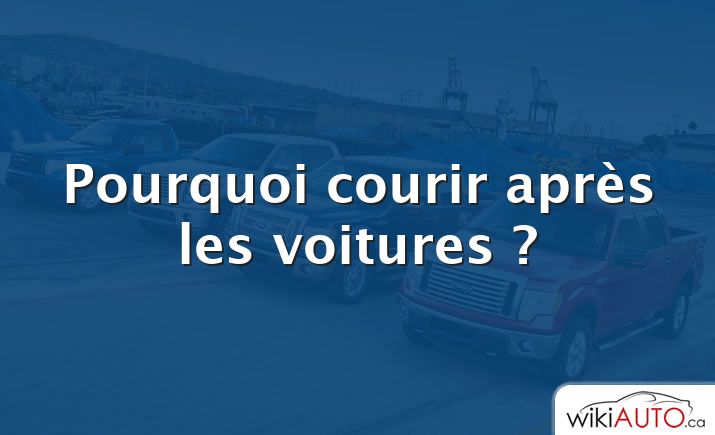 Pourquoi courir après les voitures ?