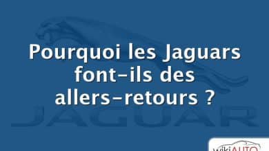 Pourquoi les Jaguars font-ils des allers-retours ?