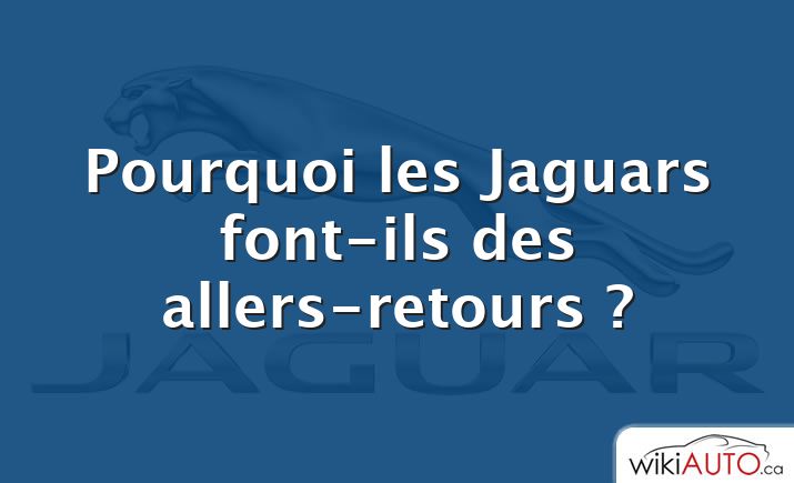 Pourquoi les Jaguars font-ils des allers-retours ?