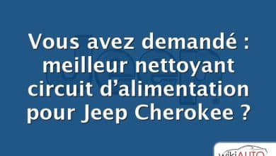 Vous avez demandé : meilleur nettoyant circuit d’alimentation pour Jeep Cherokee ?
