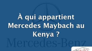 À qui appartient Mercedes Maybach au Kenya ?